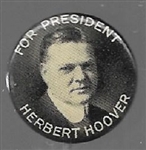 Herbert Hoover for President 