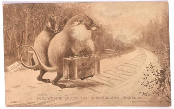 Taft Billy Possum Postcard