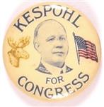 Kespohl for Congress, Illinois
