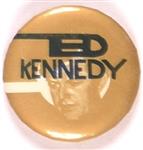 Ted Kennedy Gold and Blue Celluloid