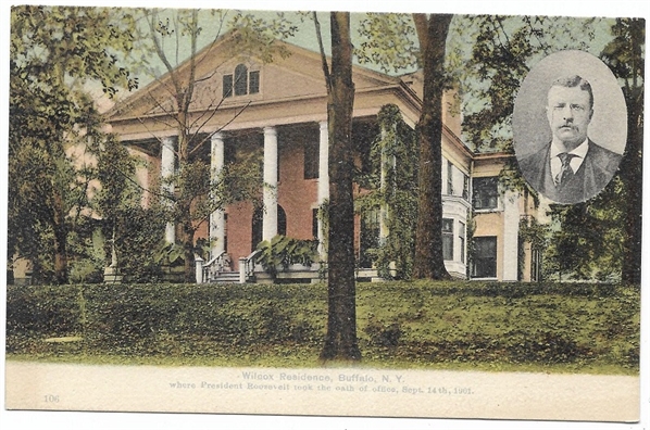 Theodore Roosevelt Buffalo, NY Postcard 