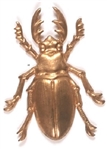 William McKinley Gold Bug