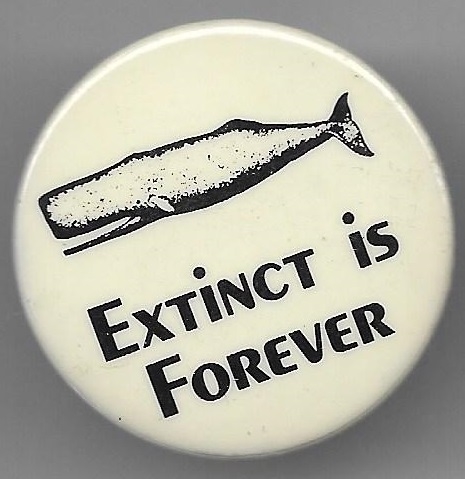 Whales Extinct is Forever 