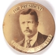Theodore Roosevelt for President Sepia Pin