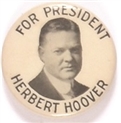 Hoover for President White Background Celluloid
