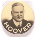 Herbert Hoover Dynamic Picture Pin