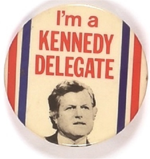 Ted Kennedy Delegate