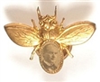 William McKinley Gold Bug, Picture Facing to the Right