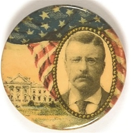 Theodore Roosevelt White House Celluloid