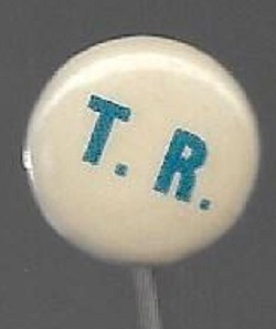 Roosevelt Small TR Pin