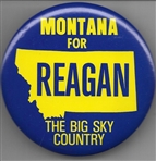 Reagan the Big Sky Country