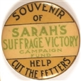 Sarahs Suffrage Victory