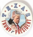 Texas Trump for President