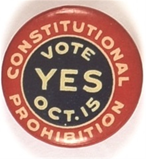 Constitutional Prohibition Vote Yes