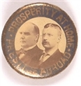 McKinley, TR Prosperity and Prestige