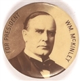 McKinley Handsome Sepia Celluloid