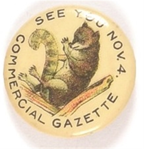McKinley Raccoon Commercial Gazette