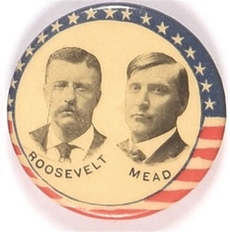 Roosevelt, Mead Washington Coattail