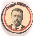 Roosevelt Ribbon Design Celluloid