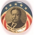 Taft Stars and Stripes Celluloid