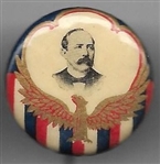 Alton Parker Eagle and Stripes Pin 