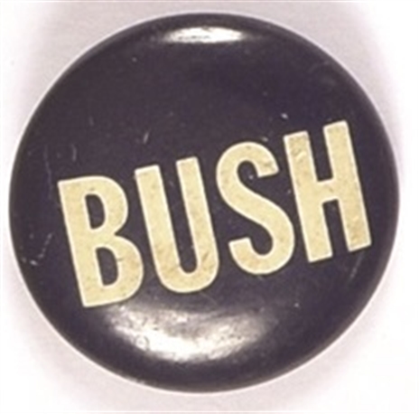 Bush Texas Congress Pin