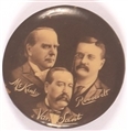 McKinley Minnesota Coattail