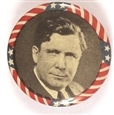 Willkie Stars and Stripes Celluloid