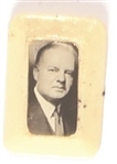 Herbert Hoover Plastic Pinback