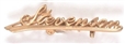 Stevenson Script Lettering Lapel Pin