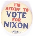 Im Affixin to Vote for Nixon