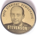 Stevenson, Williams Michigan Flasher
