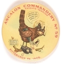 Ascalon Commandery Scarce Masonic Bird Pin