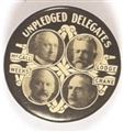 Massachusetts Unpledged Delegates