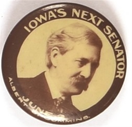 Cummins Iowas Next Senator