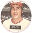 Johnny Bench, Cincinnati Reds