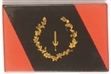 Afro-American Flag Celluloid