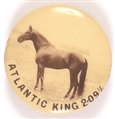 Atlantic King Horse Pin