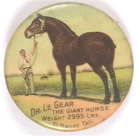 Dr. LeGear and the Giant Horse