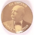 Seymour for Governor, New Jersey
