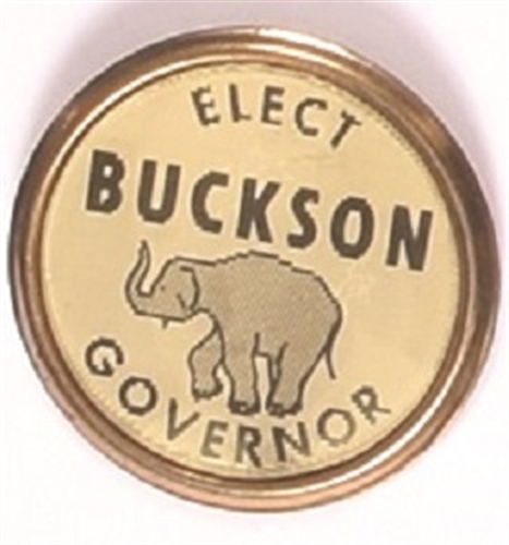 Elect Buckson Delaware Flasher
