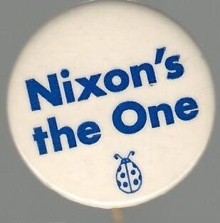 Nixons the One Watergate Pin