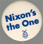 Nixons the One Watergate Pin