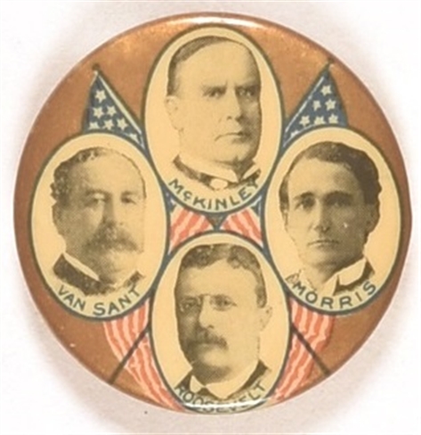 William McKinley Minnesota Coattail