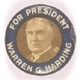 Harding Smaller Size Blue Border Celluloid