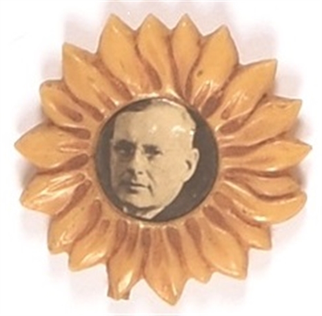Landon Plastic Sunflower Picture Pin
