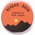 Reagan, Bush Americas New Dawn