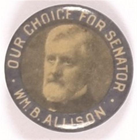 Allison Our Choice for Senator, Iowa