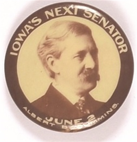 Cummins for Senator, Iowa