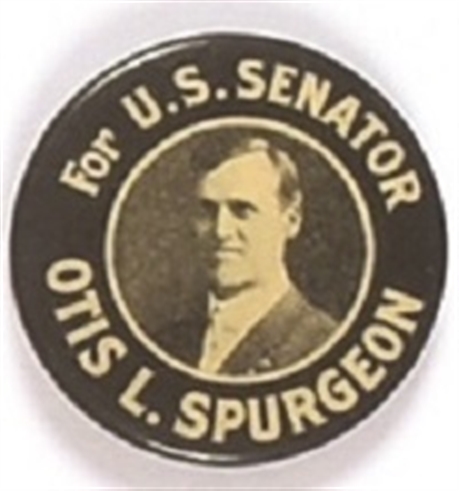 Spurgeon for Senator, Iowa
